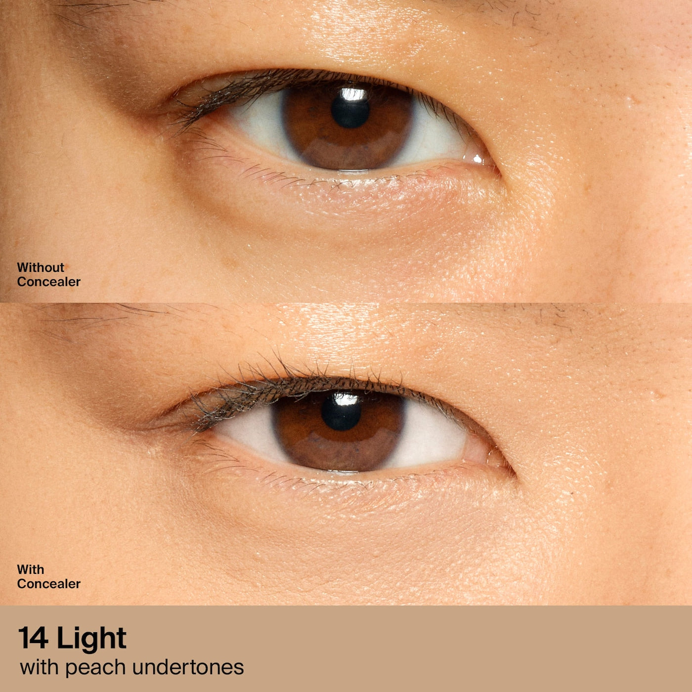 Haus Labs Concealer