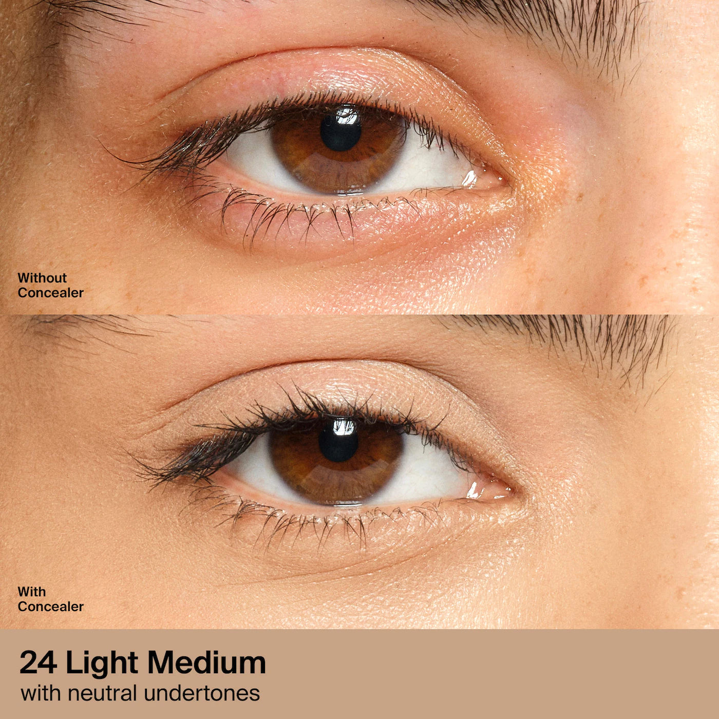 Haus Labs Concealer