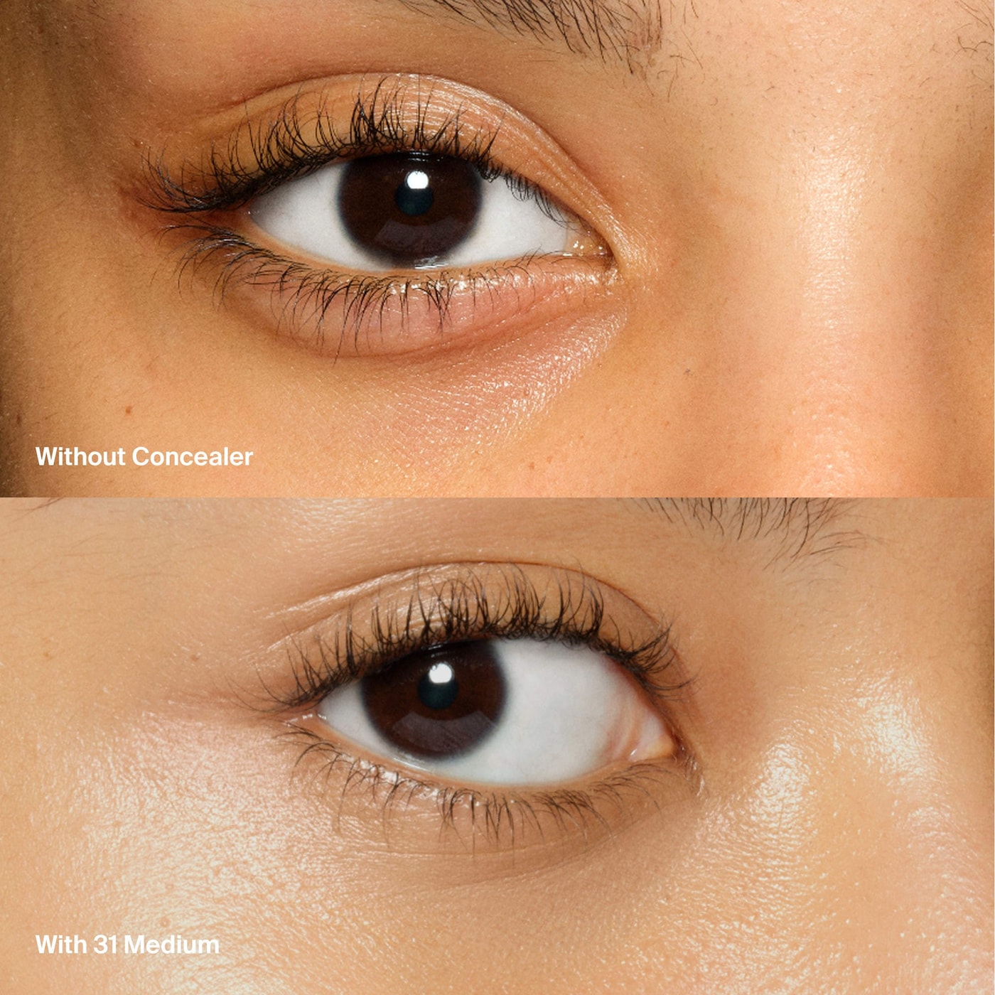 Haus Labs Concealer