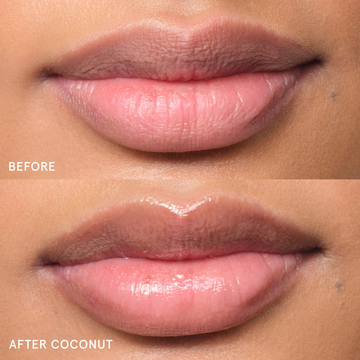 Glossier Lip Balm