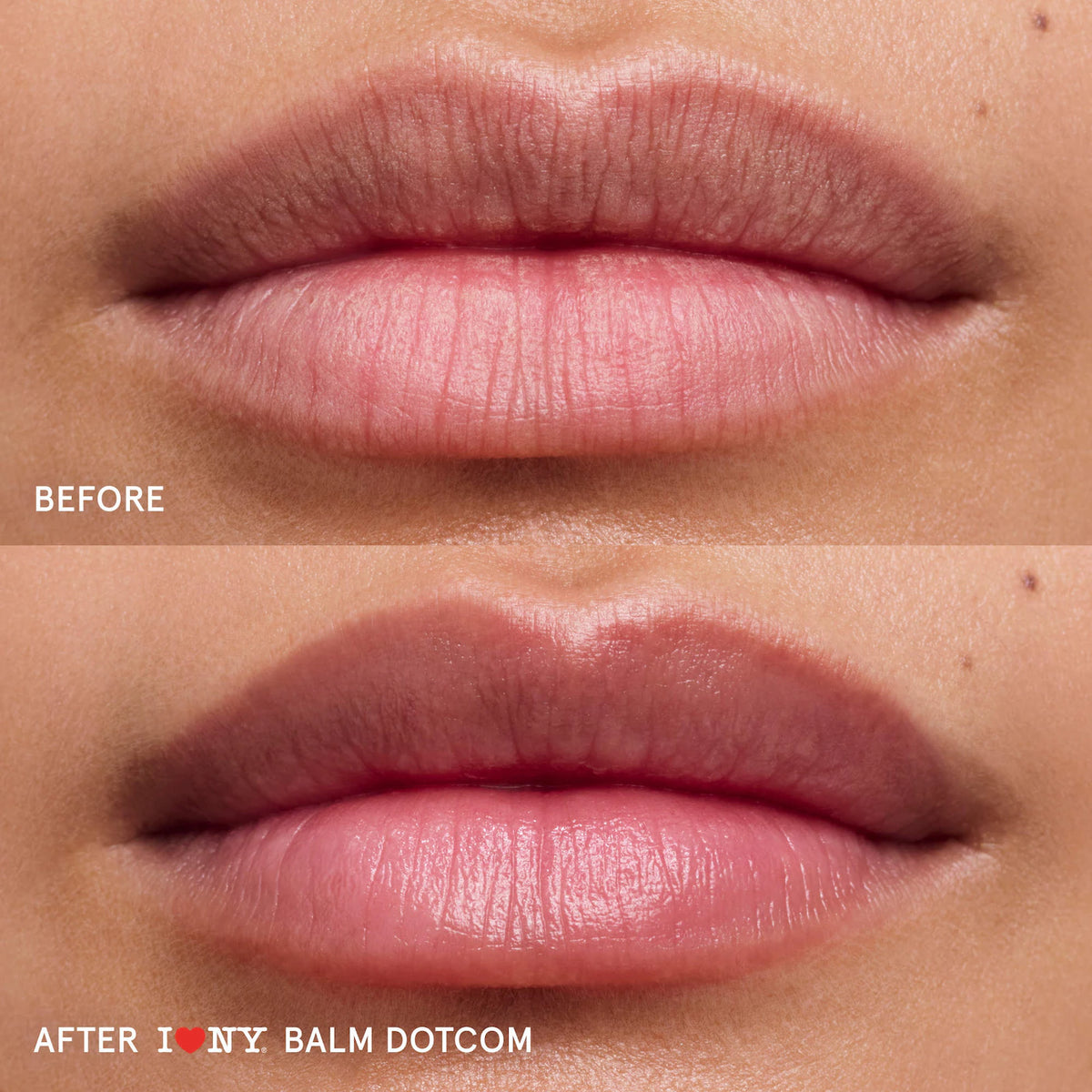 Glossier Lip Balm