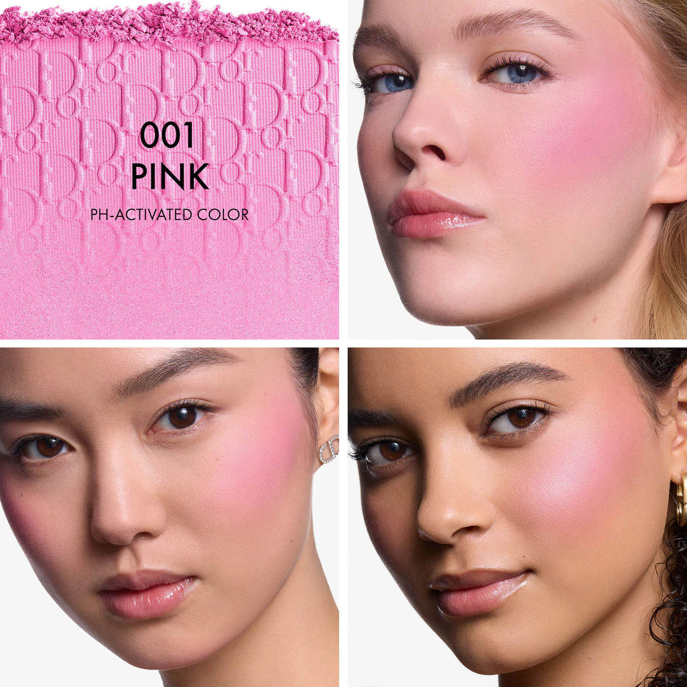 Dior Powder Blush