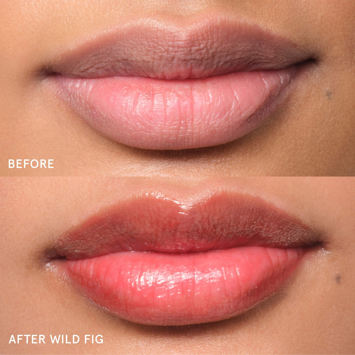 Glossier Lip Balm